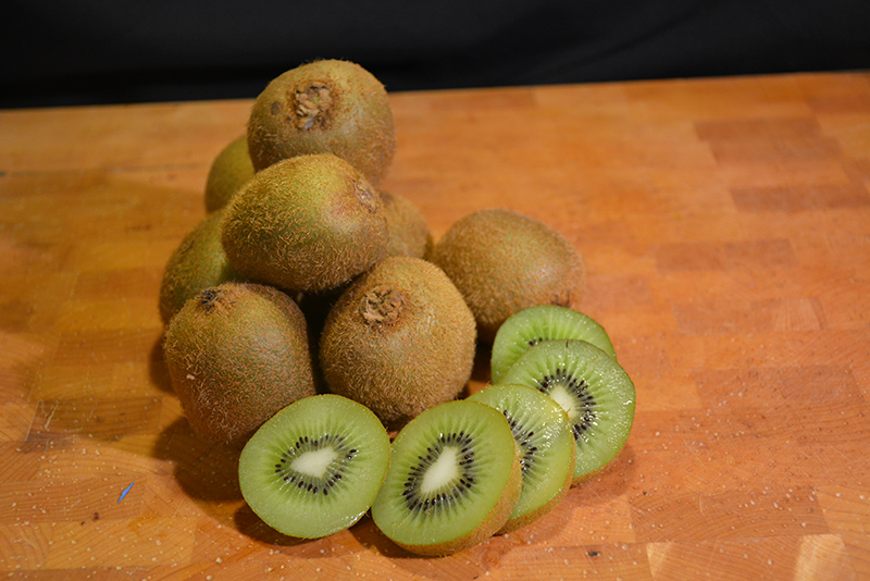 Kiwifruit (Actinidia deliciosa) at Shonnard's Nursery